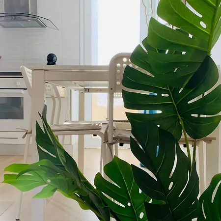 Dream Americas 公寓 美洲海滩