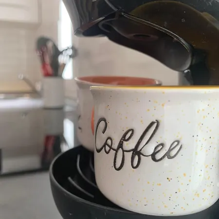 Dream Americas 美洲海滩